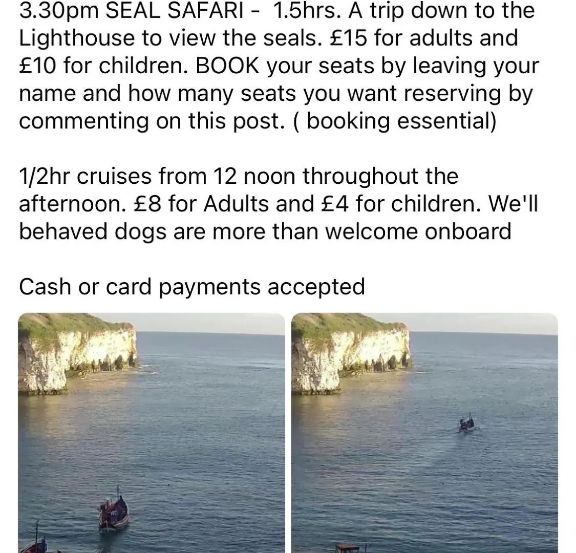 Feriepark 18 Gannet Grove Haven Thornwickbay Flamborough Bridlington East Coast Hotel