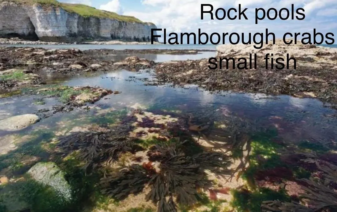 Hotel 18 Gannet Grove Haven Thornwickbay Flamborough Bridlington East Coast Regno Unito