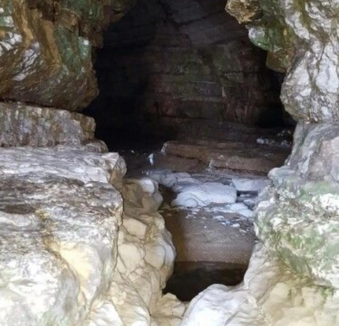 Hotel 18 Gannet Grove Haven Thornwickbay Flamborough Bridlington East Coast Regno Unito