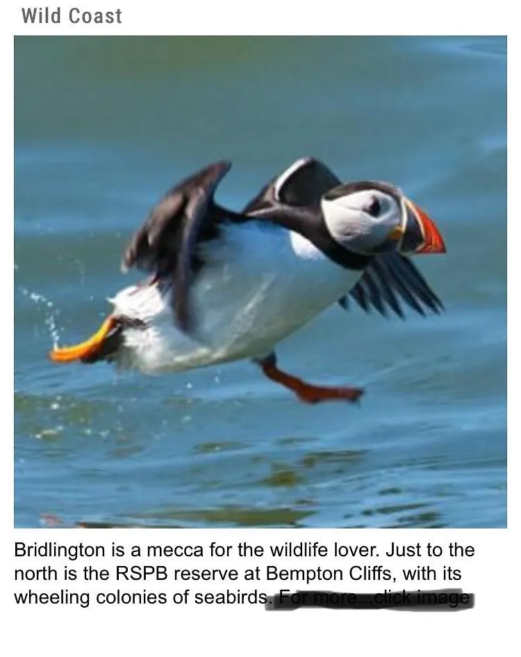 Hotel 18 Gannet Grove Haven Thornwickbay Flamborough Bridlington East Coast Parco vacanze